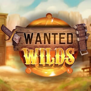 Wanted WILDS screenshot